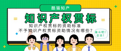 知識產(chǎn)權(quán)貫標(biāo)資助標(biāo)準(zhǔn)與不資助情況解析